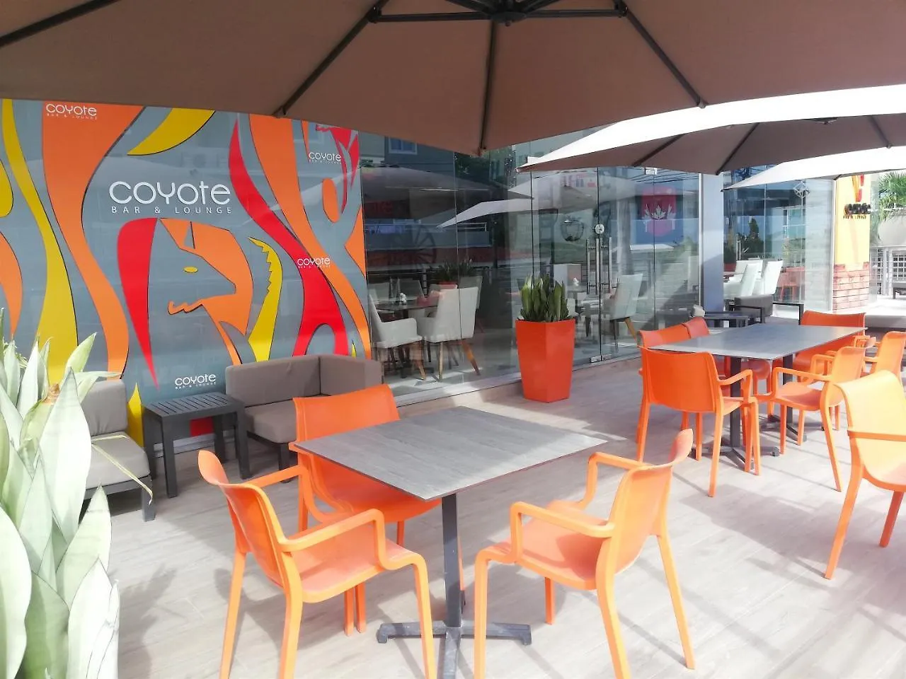 Coral Suites Beach Club & Spa Отель Баваро
